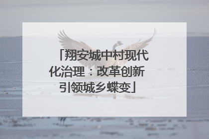 翔安城中村现代化治理：改革创新引领城乡蝶变