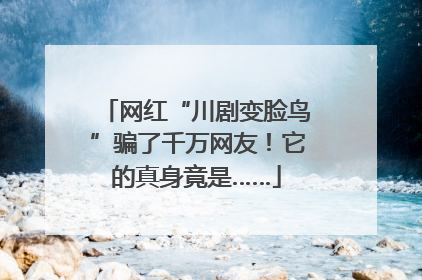 网红“川剧变脸鸟”骗了千万网友！它的真身竟是……