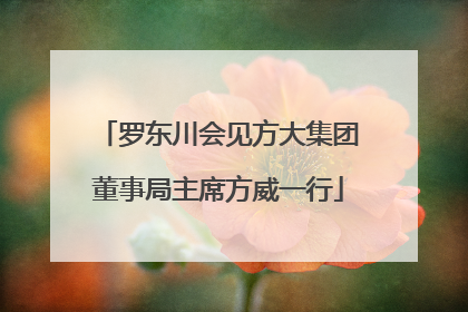 罗东川会见方大集团董事局主席方威一行
