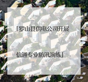 罗山县供电公司开展信通专业防汛演练