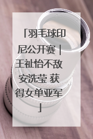 羽毛球印尼公开赛｜王祉怡不敌安洗莹 获得女单亚军