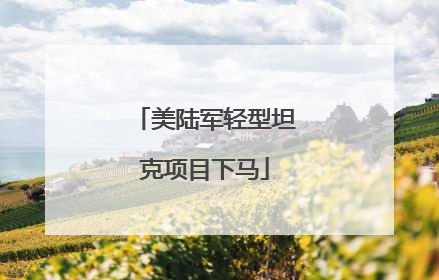 美陆军轻型坦克项目下马