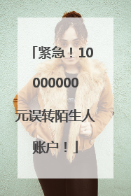 紧急！10000000元误转陌生人账户！