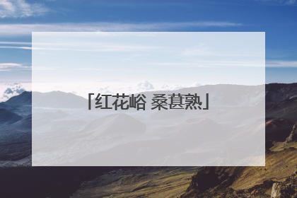 红花峪 桑葚熟