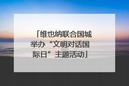 维也纳联合国城举办“文明对话国际日”主题活动
