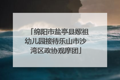 绵阳市盐亭县嫘祖幼儿园接待乐山市沙湾区政协观摩团
