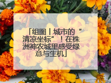 组图丨城市的“清凉坐标”！在株洲神农城里感受绿意与生机