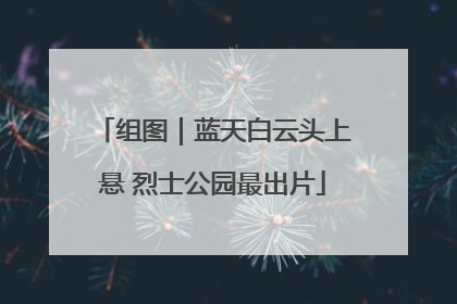 组图｜蓝天白云头上悬 烈士公园最出片