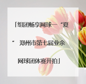 组团畅享网球一“夏” 郑州市第七届业余网球团体赛开拍