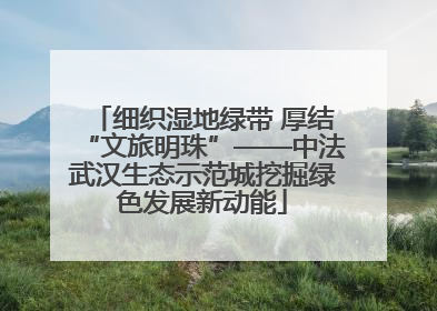 细织湿地绿带 厚结“文旅明珠”——中法武汉生态示范城挖掘绿色发展新动能