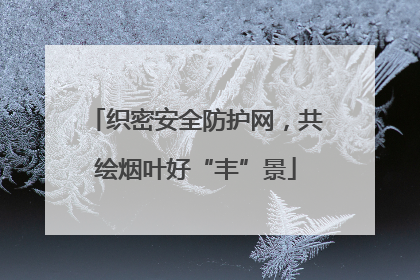 织密安全防护网，共绘烟叶好“丰”景