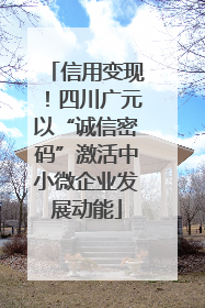 信用变现！四川广元以“诚信密码”激活中小微企业发展动能