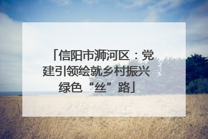 信阳市浉河区：党建引领绘就乡村振兴绿色“丝”路