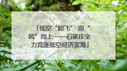 低空“起飞” 迎“风”而上——石家庄全力竞逐低空经济蓝海
