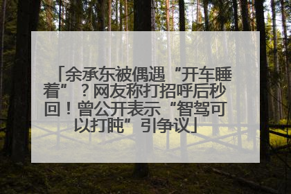 余承东被偶遇“开车睡着”？网友称打招呼后秒回！曾公开表示“智驾可以打盹”引争议