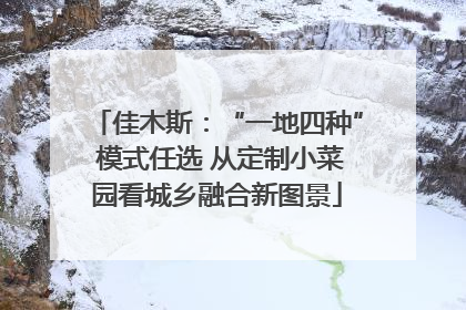 佳木斯：“一地四种” 模式任选 从定制小菜园看城乡融合新图景