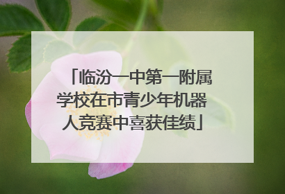 临汾一中第一附属学校在市青少年机器人竞赛中喜获佳绩