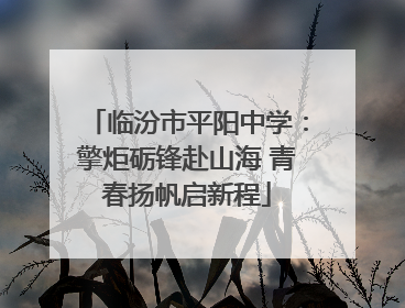 临汾市平阳中学：擎炬砺锋赴山海 青春扬帆启新程