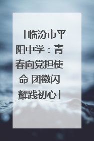 临汾市平阳中学：青春向党担使命 团徽闪耀践初心