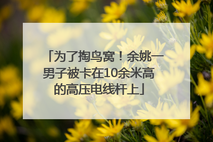 为了掏鸟窝！余姚一男子被卡在10余米高的高压电线杆上