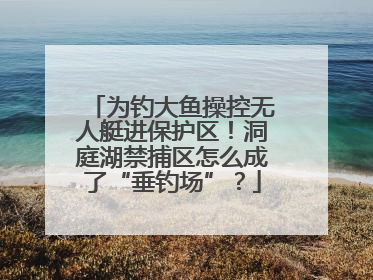 为钓大鱼操控无人艇进保护区！洞庭湖禁捕区怎么成了“垂钓场”？