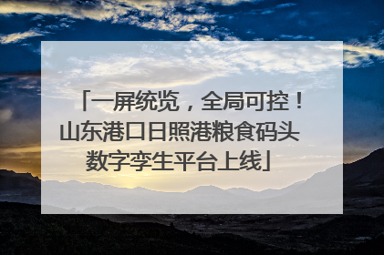一屏统览，全局可控！山东港口日照港粮食码头数字孪生平台上线