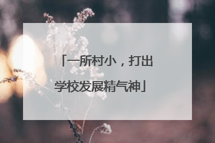 一所村小，打出学校发展精气神