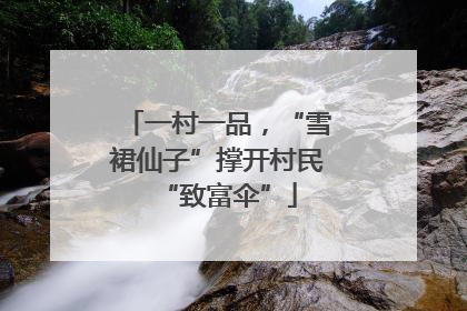 一村一品，“雪裙仙子”撑开村民“致富伞”