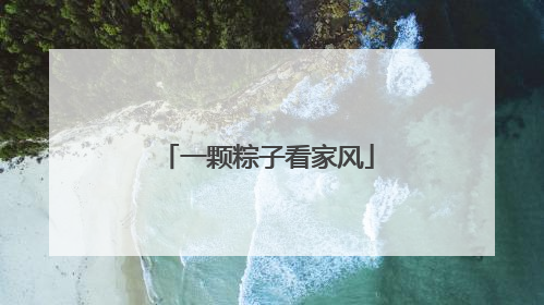 一颗粽子看家风