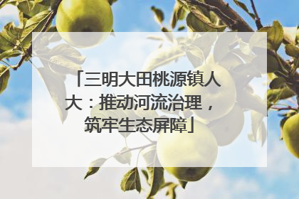 三明大田桃源镇人大：推动河流治理，筑牢生态屏障