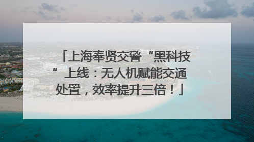 上海奉贤交警“黑科技”上线：无人机赋能交通处置，效率提升三倍！
