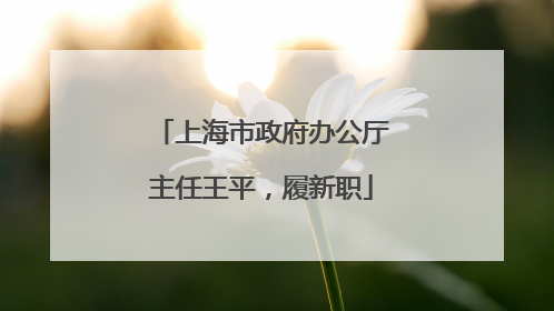 上海市政府办公厅主任王平，履新职