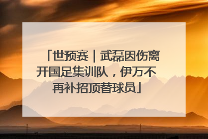 世预赛｜武磊因伤离开国足集训队，伊万不再补招顶替球员