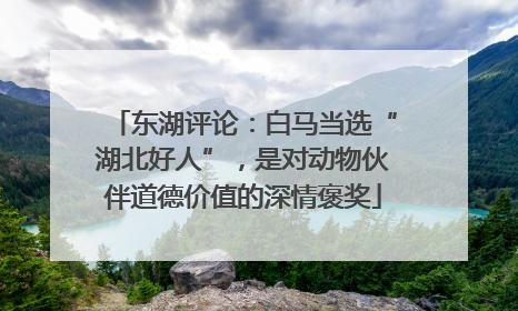 东湖评论：白马当选“湖北好人”，是对动物伙伴道德价值的深情褒奖