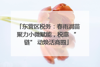 东营区税务：春雨润苗聚力小微赋能，税惠 “链” 动焕活商圈