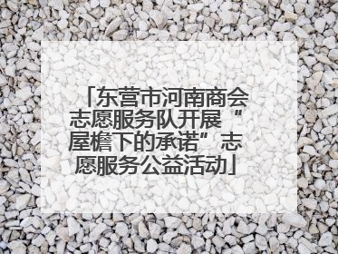 东营市河南商会志愿服务队开展“屋檐下的承诺”志愿服务公益活动