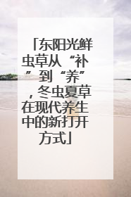 东阳光鲜虫草从“补”到“养”，冬虫夏草在现代养生中的新打开方式