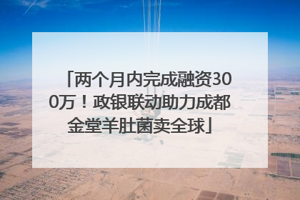 两个月内完成融资300万！政银联动助力成都金堂羊肚菌卖全球