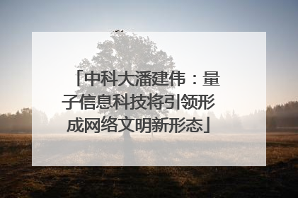 中科大潘建伟：量子信息科技将引领形成网络文明新形态