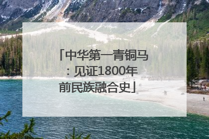 中华第一青铜马：见证1800年前民族融合史
