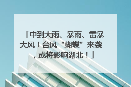 中到大雨、暴雨、雷暴大风！台风“蝴蝶”来袭，或将影响湖北！