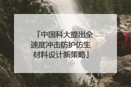 中国科大提出全速度冲击防护仿生材料设计新策略