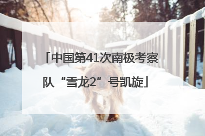 中国第41次南极考察队“雪龙2”号凯旋
