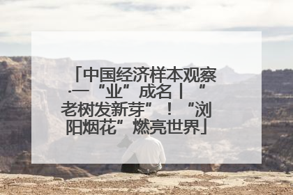 中国经济样本观察·一“业”成名丨“老树发新芽”！“浏阳烟花”燃亮世界