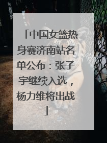 中国女篮热身赛济南站名单公布：张子宇继续入选，杨力维将出战