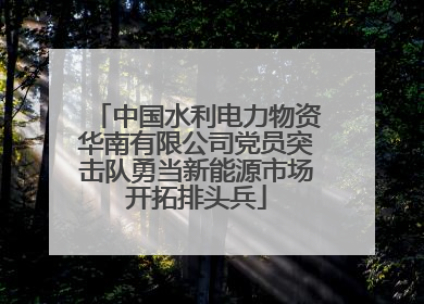 中国水利电力物资华南有限公司党员突击队勇当新能源市场开拓排头兵