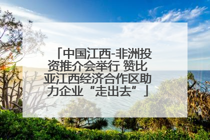 中国江西-非洲投资推介会举行 赞比亚江西经济合作区助力企业“走出去”