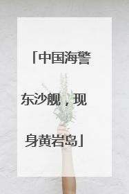 中国海警东沙舰，现身黄岩岛
