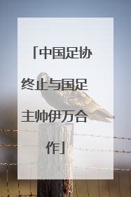 中国足协终止与国足主帅伊万合作