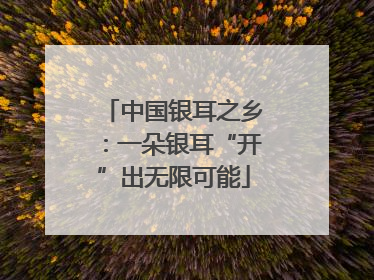 中国银耳之乡：一朵银耳“开”出无限可能